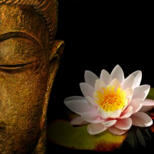 buddha-wallpapers-photos-pictures-h2o-lily1
